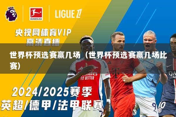 世界杯预选赛赢几场（世界杯预选赛赢几场比赛）