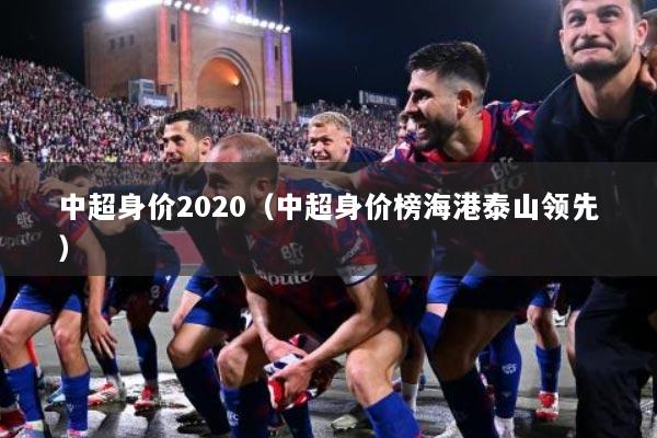 中超身价2020（中超身价榜海港泰山领先）