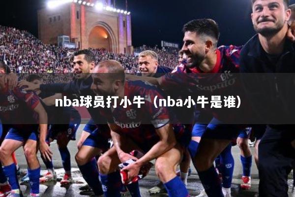 nba球员打小牛（nba小牛是谁）