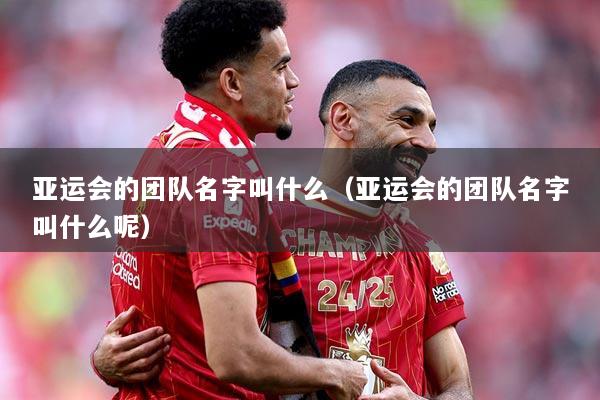 亚运会的团队名字叫什么（亚运会的团队名字叫什么呢）