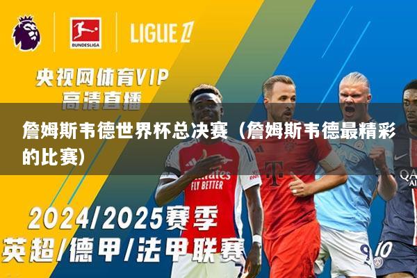 詹姆斯韦德世界杯总决赛（詹姆斯韦德最精彩的比赛）